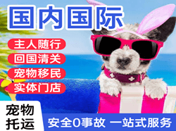 福成机场快递国际宠物托运 【国